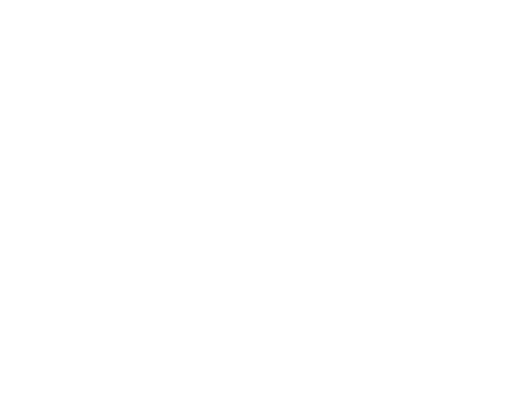 raidLogoWhite